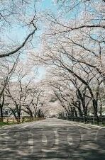 2021国产麻豆剧果冻传媒免费-2021年国产麻豆剧新势力——果冻传媒免费观影的盛宴